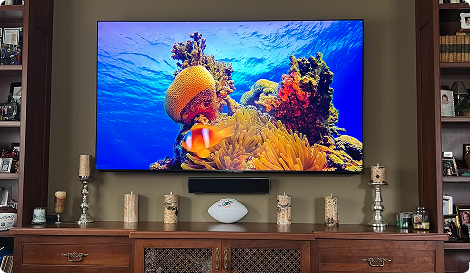 tv with a colorful underwater image of wildlife hung in a living room